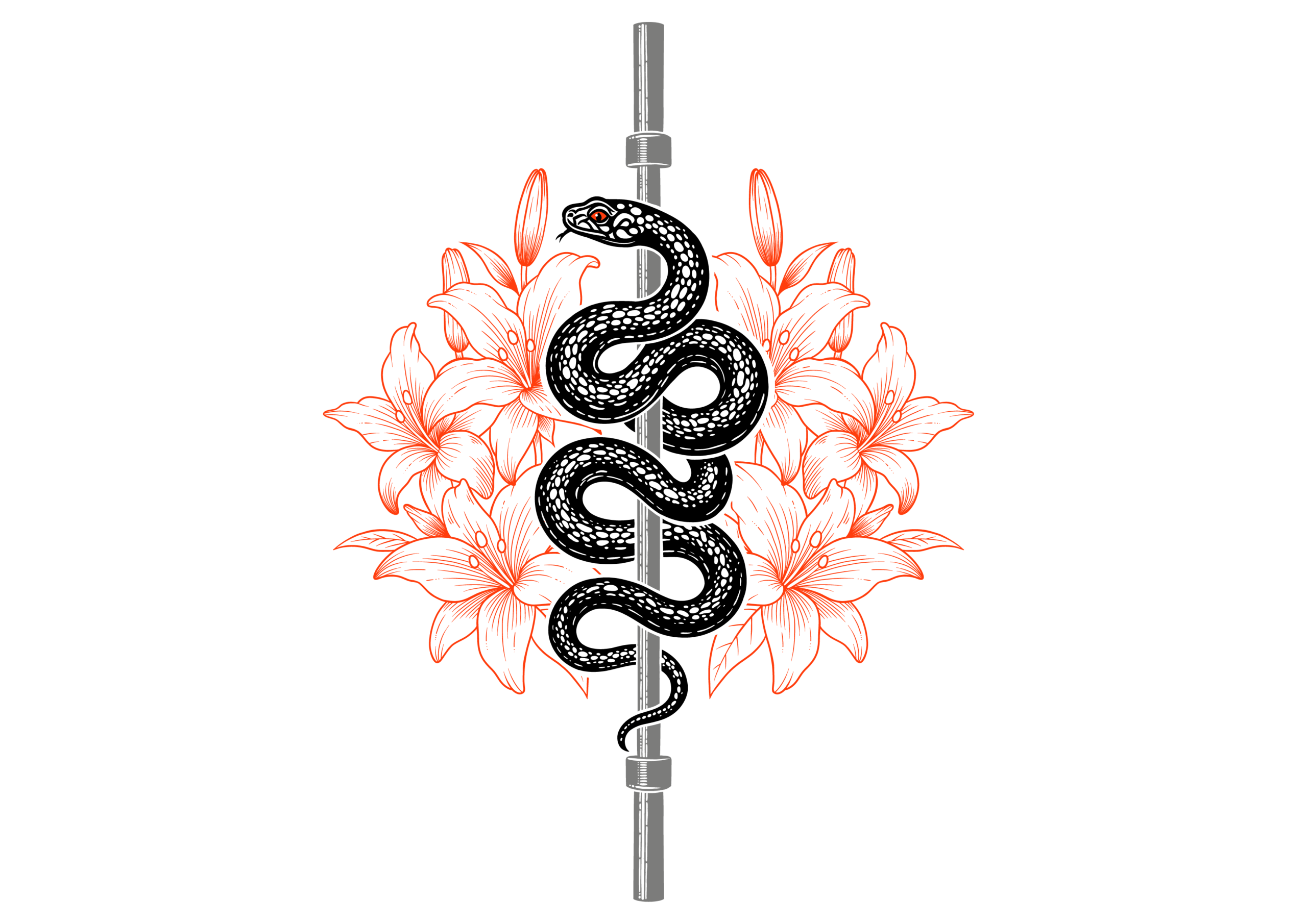 Quanta Genesis